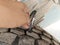 2008 Dodge Ram 4500 HD Chassis ST/SLT/Laramie